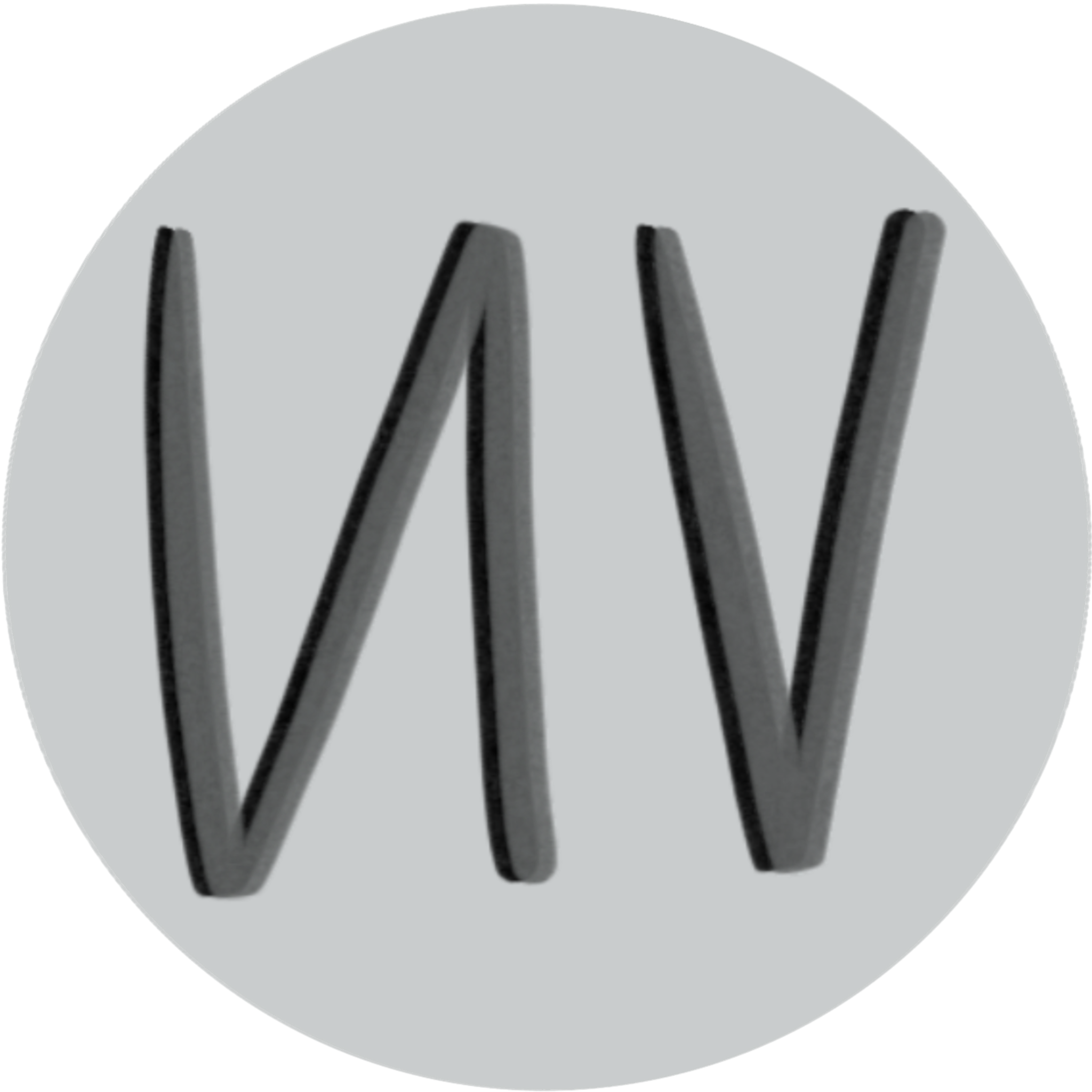 logo_nv